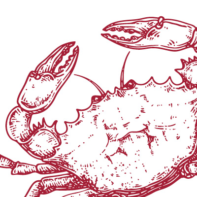 A drawing of a crab.