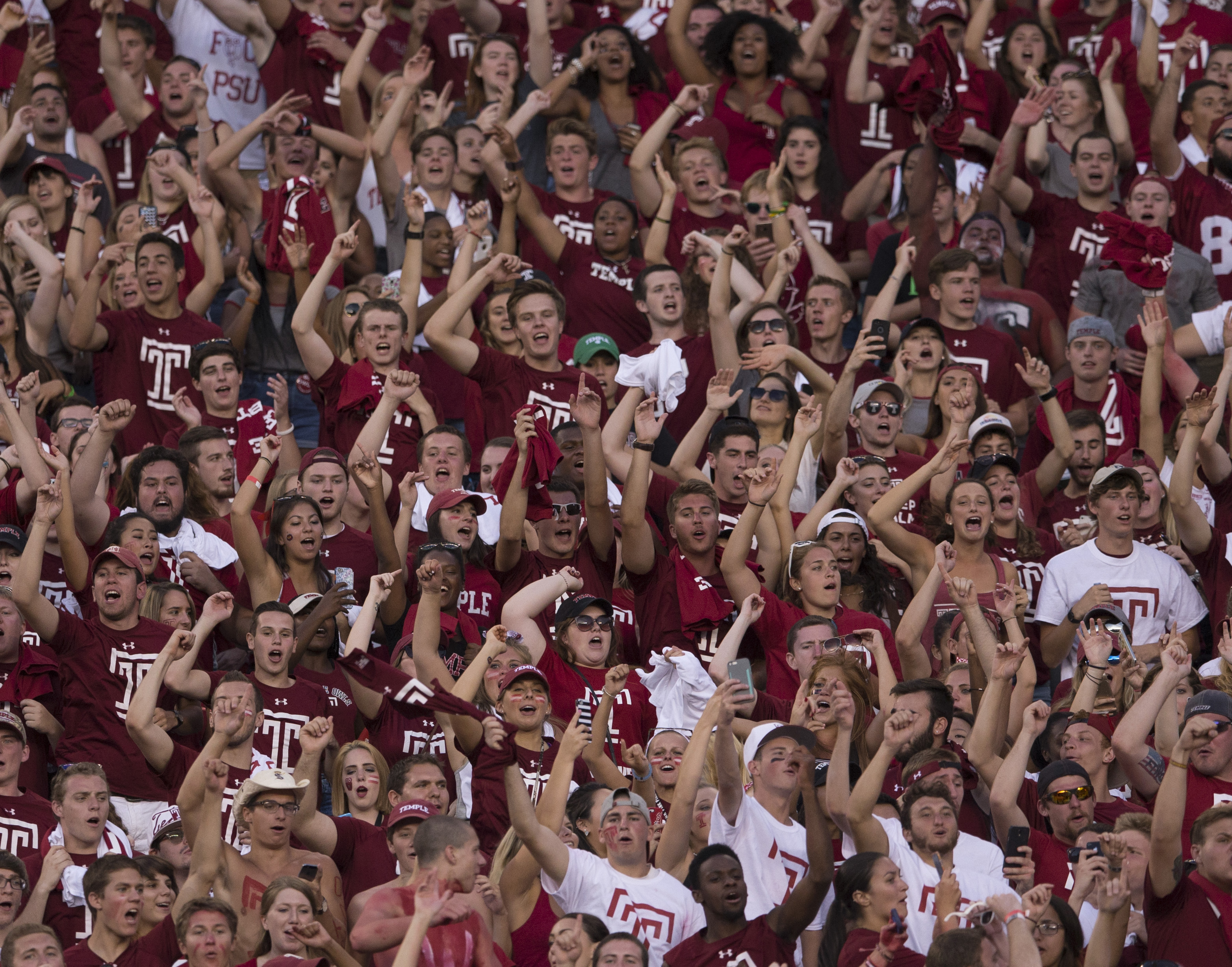 Temple fans
