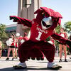 An image of Hooter the owl.